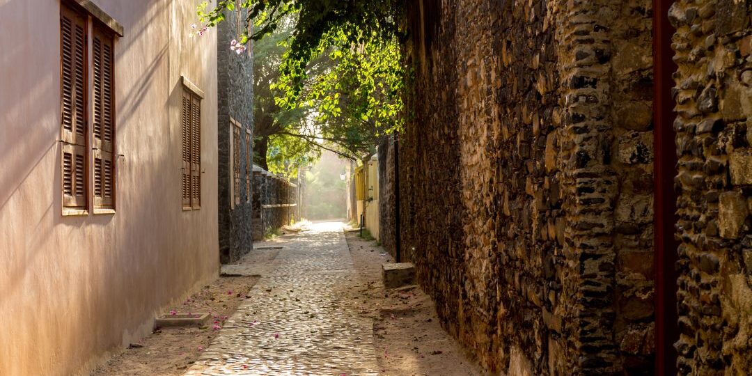 오늘의 우산 (4)