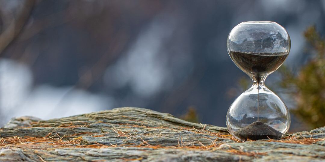 오늘의 우산 (6)