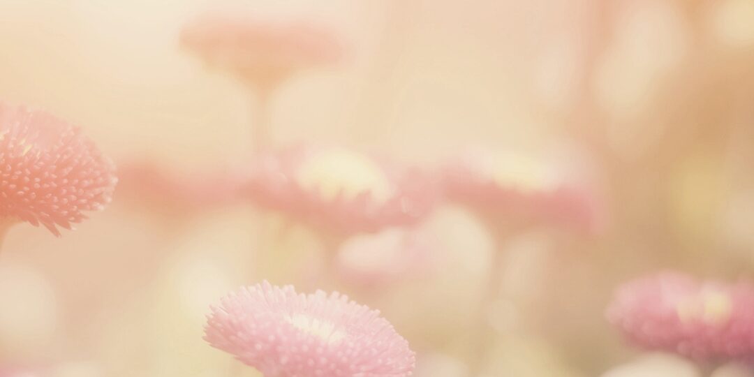 사랑은 증오의 소음을 덮어버리는 쿵쾅대는 큰 북소리다 (21)