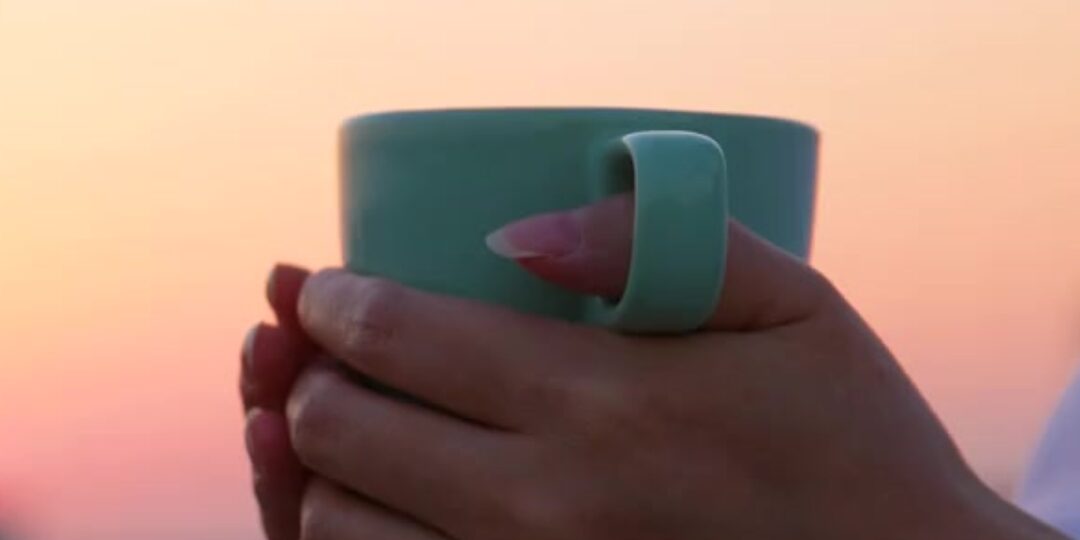 오늘의 우산 (24)