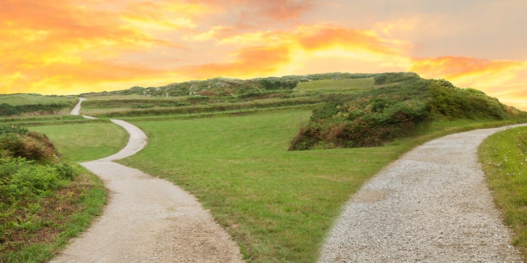 오늘의 우산 (33)