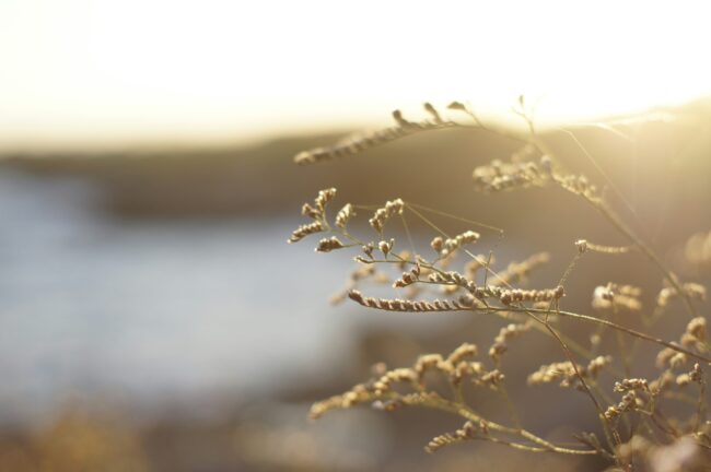 jessica-streser-99cVDI8ErTI-unsplash